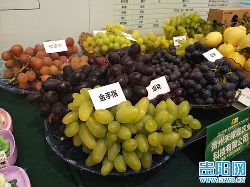 2019中國貴陽國際特色農產品交易會盛大開幕，農產品貿易迎來新機遇