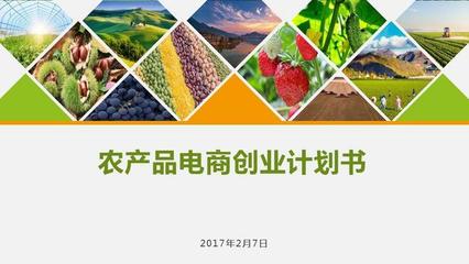 農產品電商創業計劃書 構建數字化生態，賦能現代農業新未來