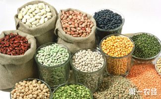 山西聚焦特色資源，擬10月確定20個獨有功能農產品品牌