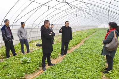 農產品質量安全科普進田間 守護舌尖上的安全